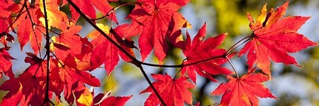 Energie update Blauwe Hand levenspad 16 - 28 november 2023: Energie voor heling en heelheid